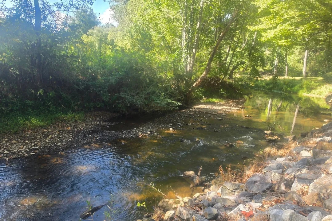 Brasstown Creek flowing past a gravel bar and stone bank
